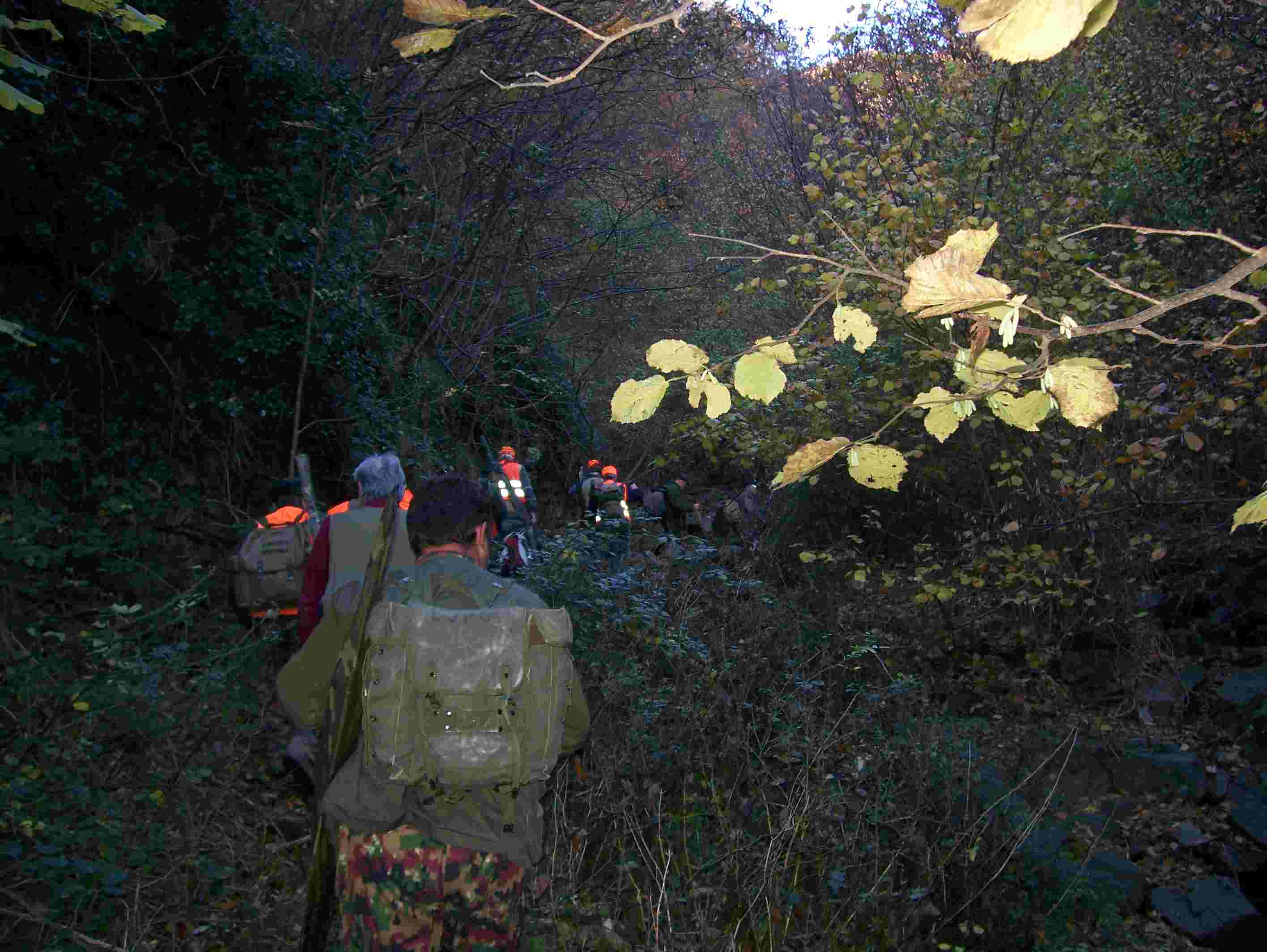  Image name: 76 Caccia.JPG 
 width: 2832 pixel 
 height: 2128 pixel 
 Size: 196446 bytes 
 Click to enlarge 